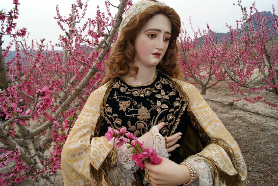 Foto de la Virgen Santa María Magdalena de Cieza en plena floración.