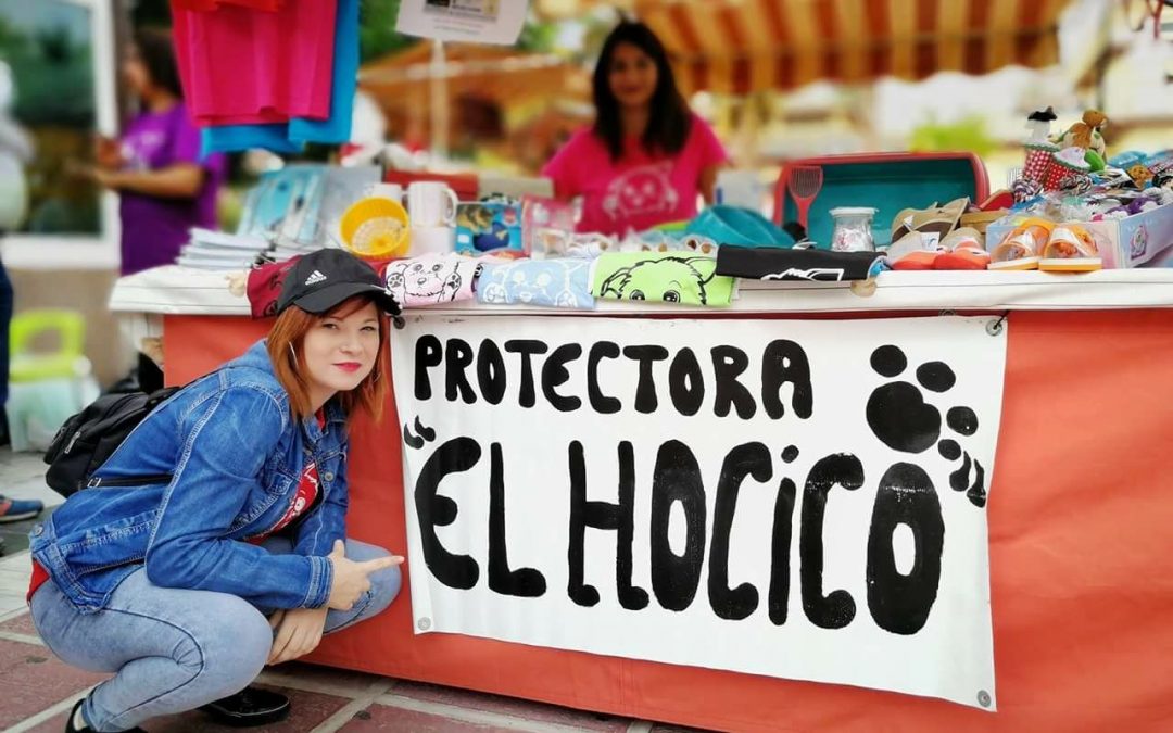 Imagen del Puesto instalado por el mercadillo de la protectora animal 'El Hocico' de Cieza.