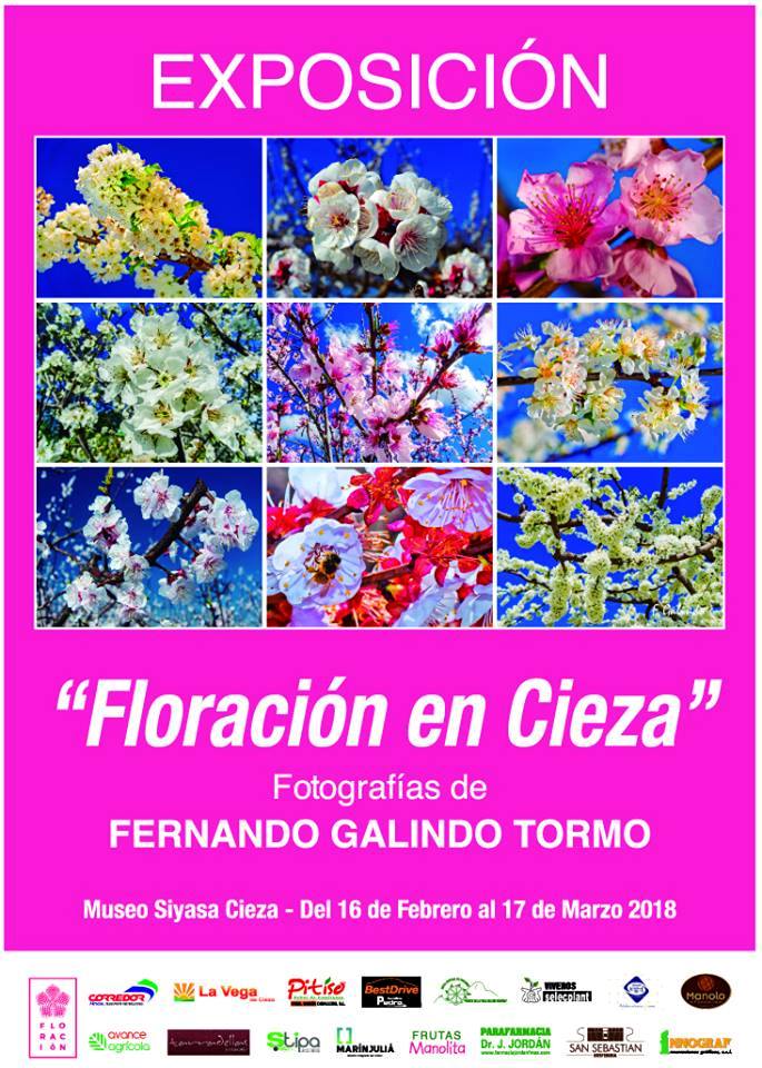 Foto del Cartel de la Exposición la Floración en Cieza, con fotos del ciezano Fernando Galindo Tormo.