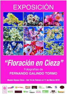 Exposición de fotografías “Floración en Cieza” de Fernando Galindo en el Museo Siyâsa de Cieza @ Museo de Siyâsa.