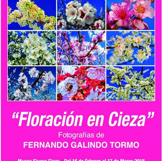 Foto del Cartel de la Exposición la Floración en Cieza, con fotos del ciezano Fernando Galindo Tormo.