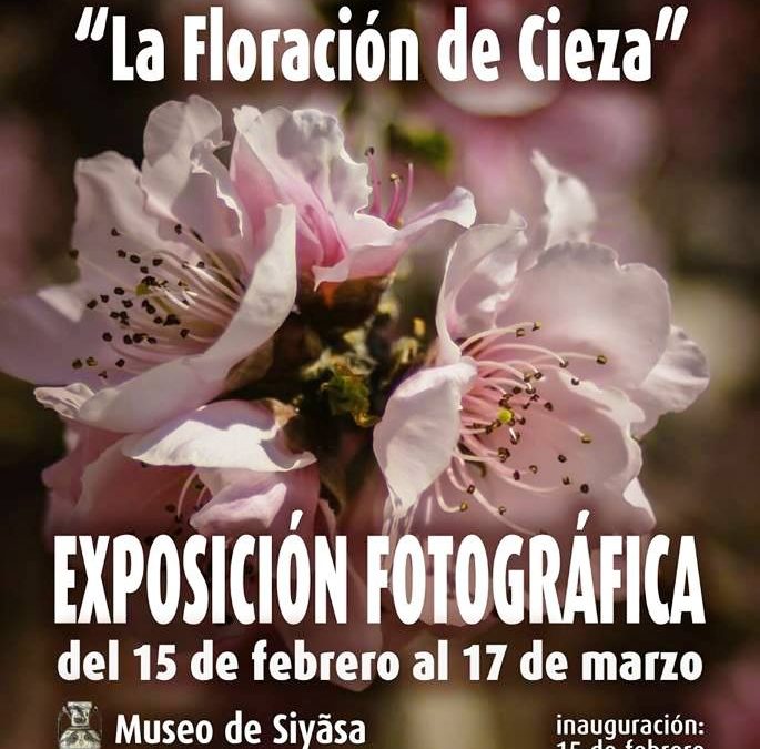 Foto del cartel de la exposición fotográfica del VI Concurso La floración en Cieza.