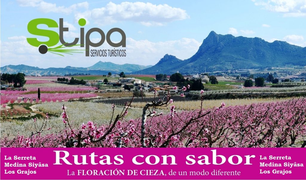 Imagen del cartel de la Ruta de la Floración en Cieza por Stipa Servicios Turísticos.
