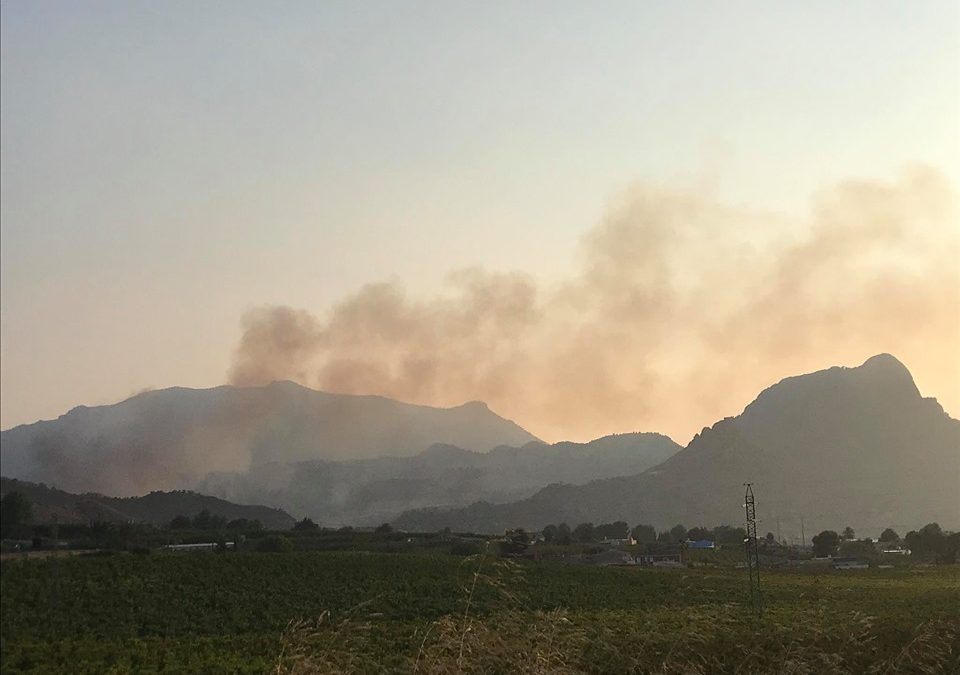 Servicios de emergencia se dirigen a sofocar incendio forestal en Cieza