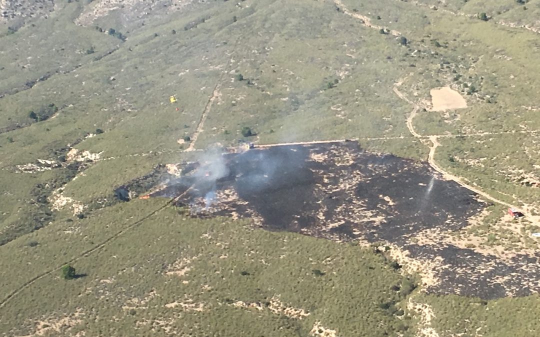 Efectivos del Plan Infomur controlan un incendio forestal declarado en la Sierra de la Cabeza del Asno en el término municipal de Cieza
