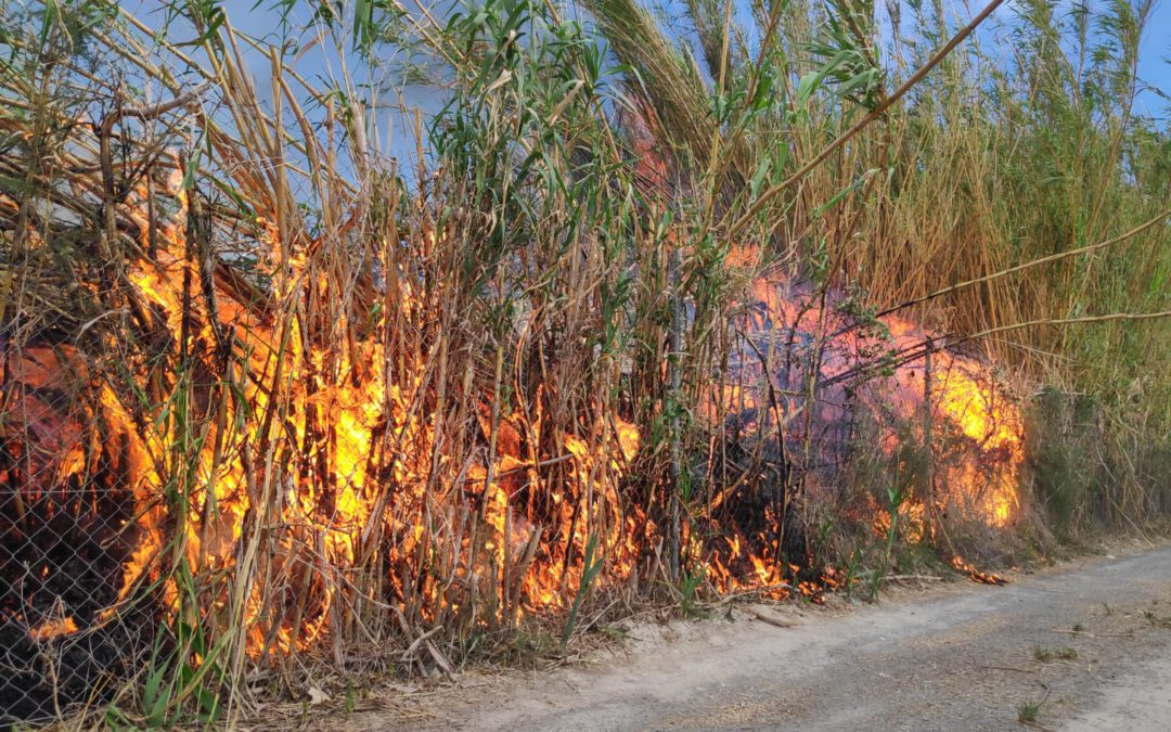 Bomberos extinguen un incendio de cañas cercano a La Presa