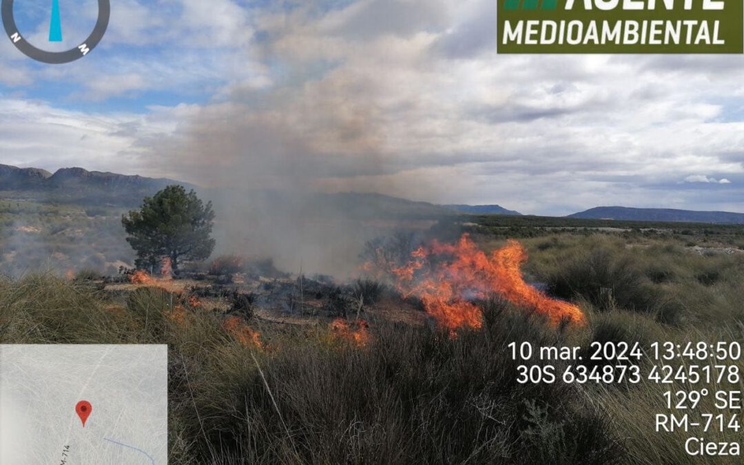 Se produce un incendio forestal frente a Sierra Picarcho en Cieza
