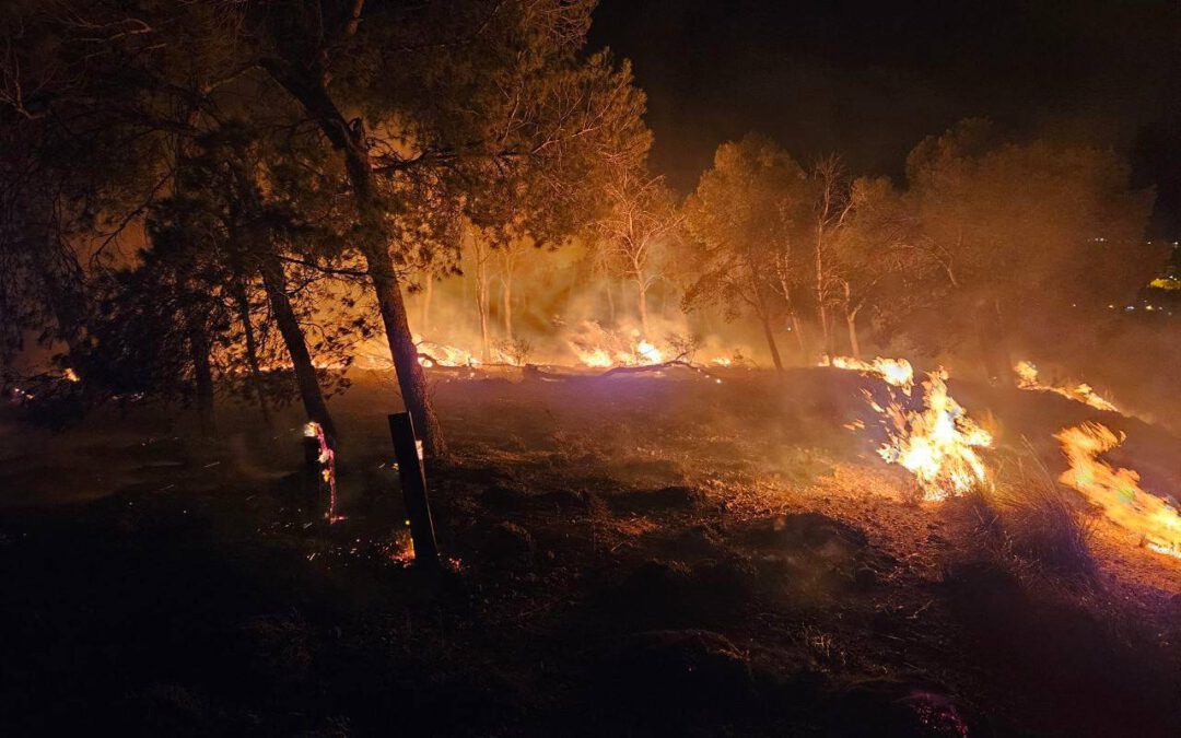 Efectivos del Plan Infomur controlan el incendio forestal declarado en paraje de la Isla, Cieza