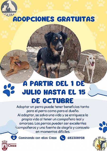 El Ayuntamiento lanza una campaña de adopciones gratuitas de mascotas